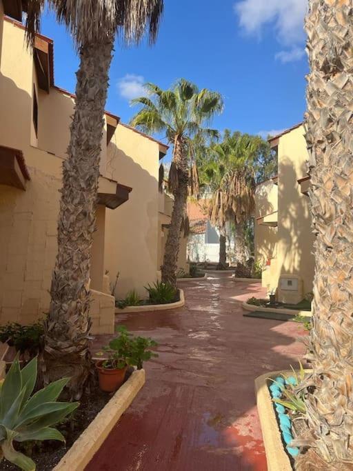 Casa Cactus Paraiso Парке-Оландес Экстерьер фото