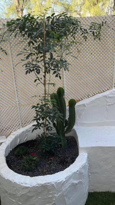 Casa Cactus Paraiso Парке-Оландес Экстерьер фото