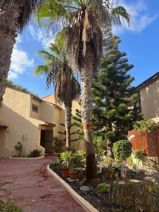 Casa Cactus Paraiso Парке-Оландес Экстерьер фото