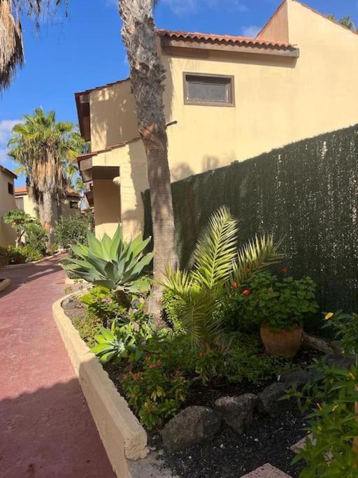 Casa Cactus Paraiso Парке-Оландес Экстерьер фото