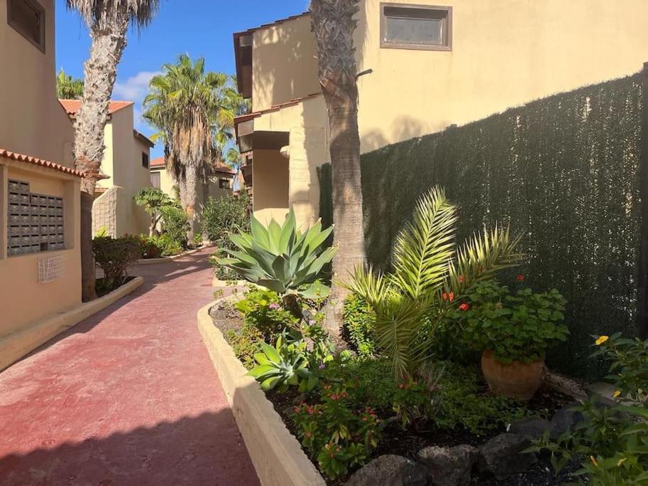 Casa Cactus Paraiso Парке-Оландес Экстерьер фото